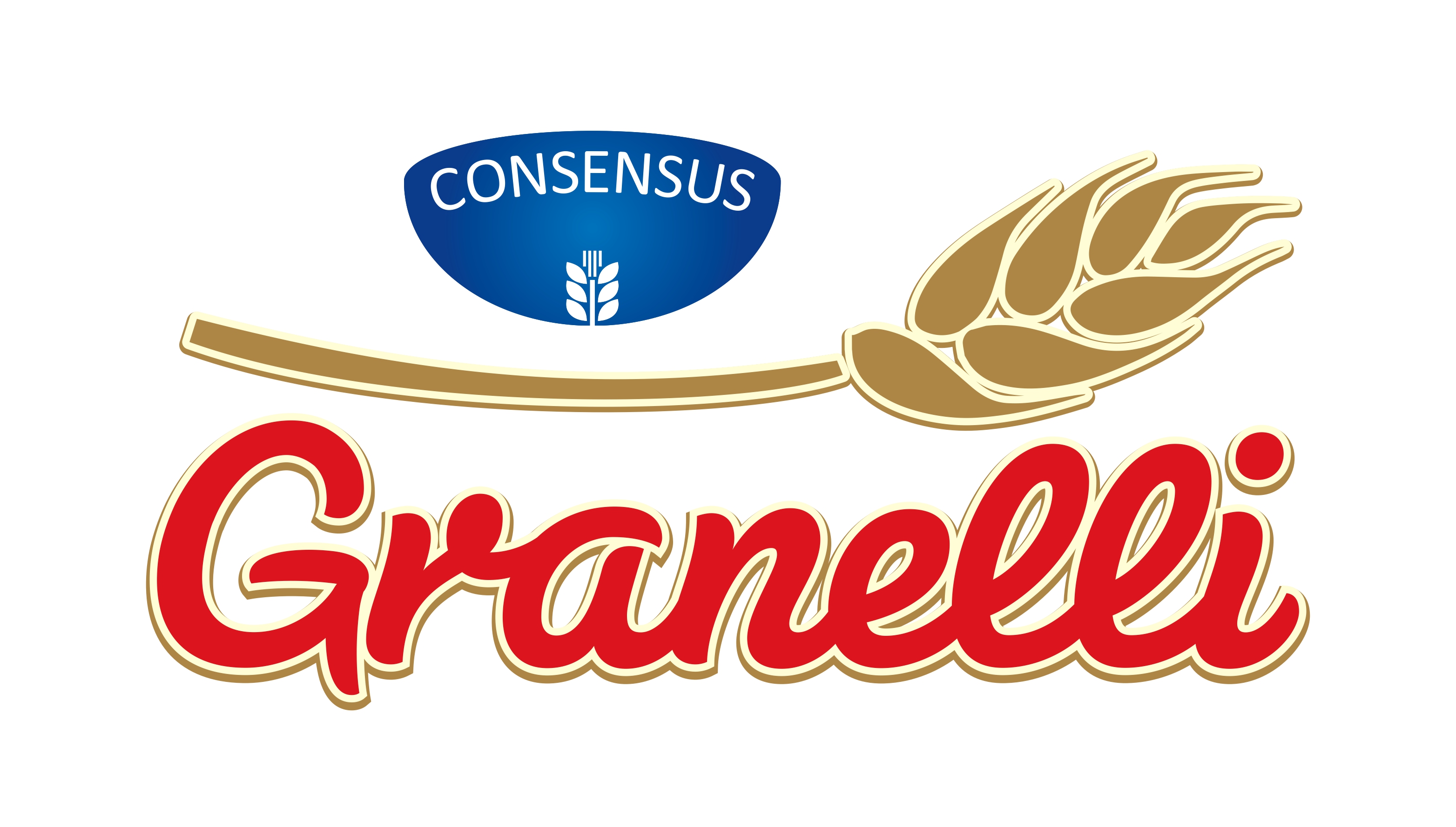 Logo kompanije - Consensus doo